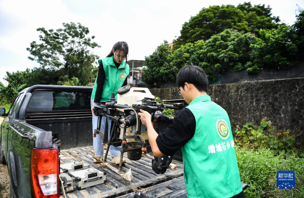 大丰收心冰论坛